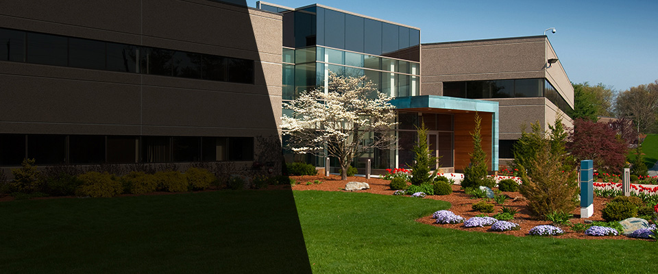 Romeoville Landscapers