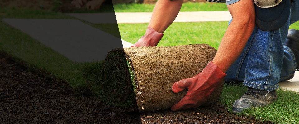 Romeoville Landscapers